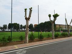 -山东鲁能乒乓球学校