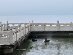 -东钱湖小普陀景区
