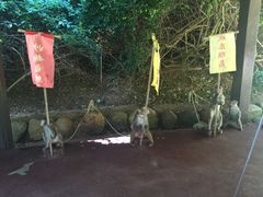 -亚龙湾海底世界