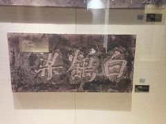 -白鹤梁水下博物馆