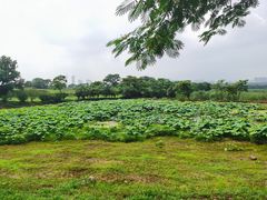-盘龙城遗址博物院