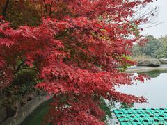 -虞山风景区