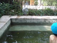 -嘉和K6温泉微度假