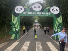 -都江堰中华大熊猫苑