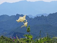 -灵山