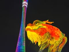-海心沙亚运公园