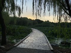 -宝界山林公园