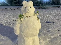 -吉林大学(前卫南校区)