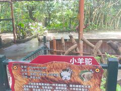 -深圳野生动物园