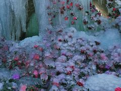 -洛阳白云山景区