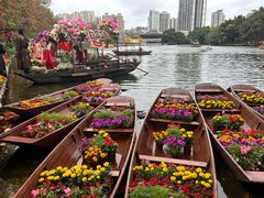 -荔湾湖公园
