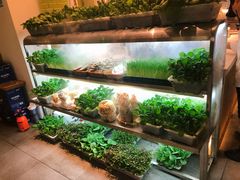 -鲜货俚鲜火锅(青果路店)