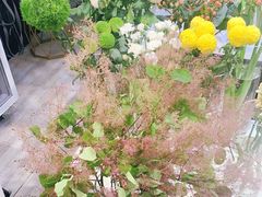 -花未央花店·WEYOUNG