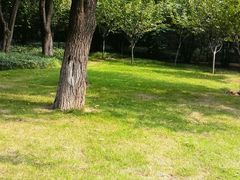 android_upload_pic-济南森林公园