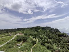 -王莽岭风景区