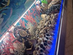 -水邑嘉年华酒店自助餐(鄄城店)
