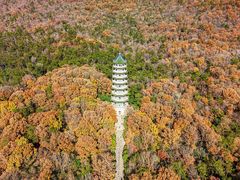 -灵谷景区