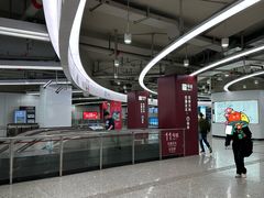 -东方体育中心(地铁站)