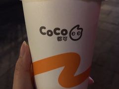 -CoCo都可(骆家庄新店)
