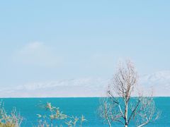 -青海湖国家重点风景名胜区