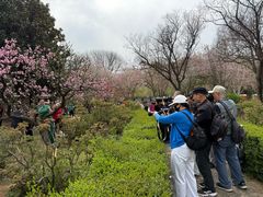-洛阳市隋唐城遗址植物园