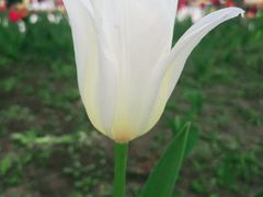 -长春公园(普阳街道)