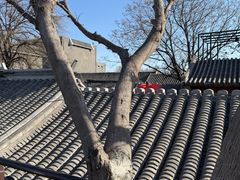 -糖房咖啡(南锣鼓巷店)