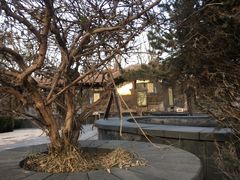 -金石唐风国际温泉会馆