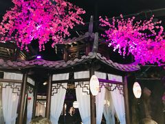 -韵秋荷(宝山龙湖天街店)