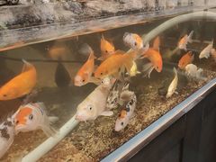 -舟小鲜·舟山小渔村(凤城四路中登广场店)