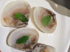 -青蓬蒸汽海鲜·深圳老字号·团建聚会(壹方城店)