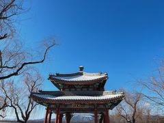 -颐和园
