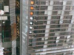 -金吉鸟健身游泳