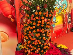 -新海利海鲜城·41年珠海老字号(夏湾店)