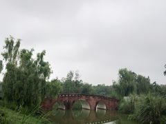 -白鹭湾湿地公园