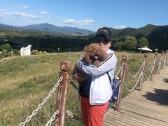 -密云玫瑰情园