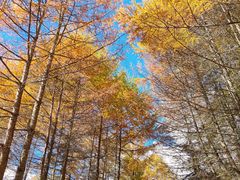 -阿坝州汶川特别旅游区