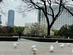 -人民广场