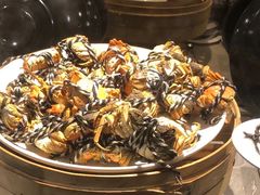 -五月罗马海鲜自助餐厅(陆家嘴店)