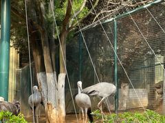 -大连森林动物园