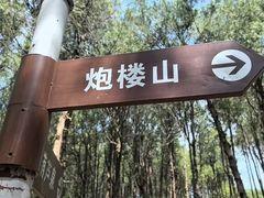 -龙洞风景区-藏龙涧