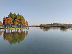 -贡湖湾湿地公园