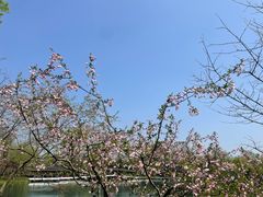 -兰桂坊·花园餐厅(西湖店)