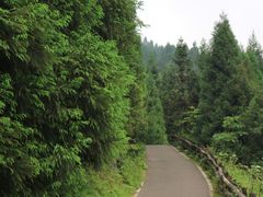 -武陵山森林公园