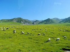 -青海湖国家重点风景名胜区