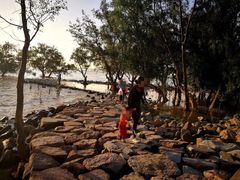 -宝安西湾红树林湿地公园