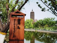 -西海子公园