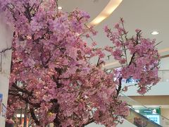 -宝月楼·台湾菜馆(天河城店)