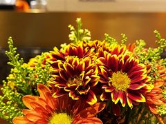 -Sunflour(来福士店)