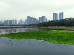 -月湖风景区